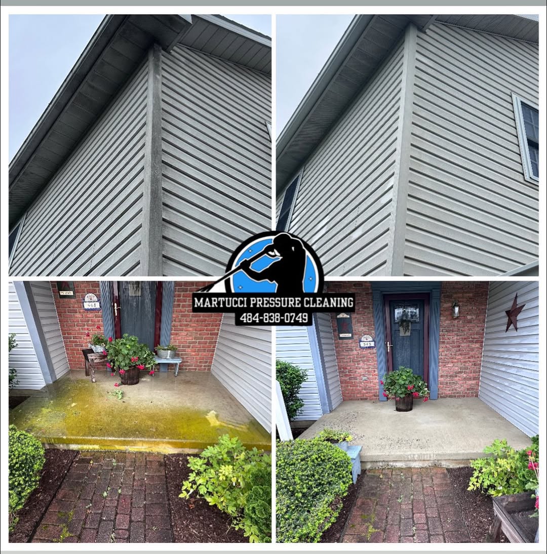 Mossy walkway and gray siding before and after Martucci Pressure Cleaning